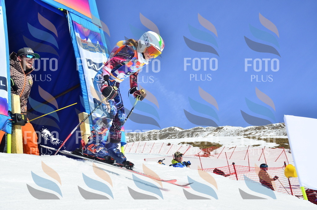 _ELE0361 | holidayphoto