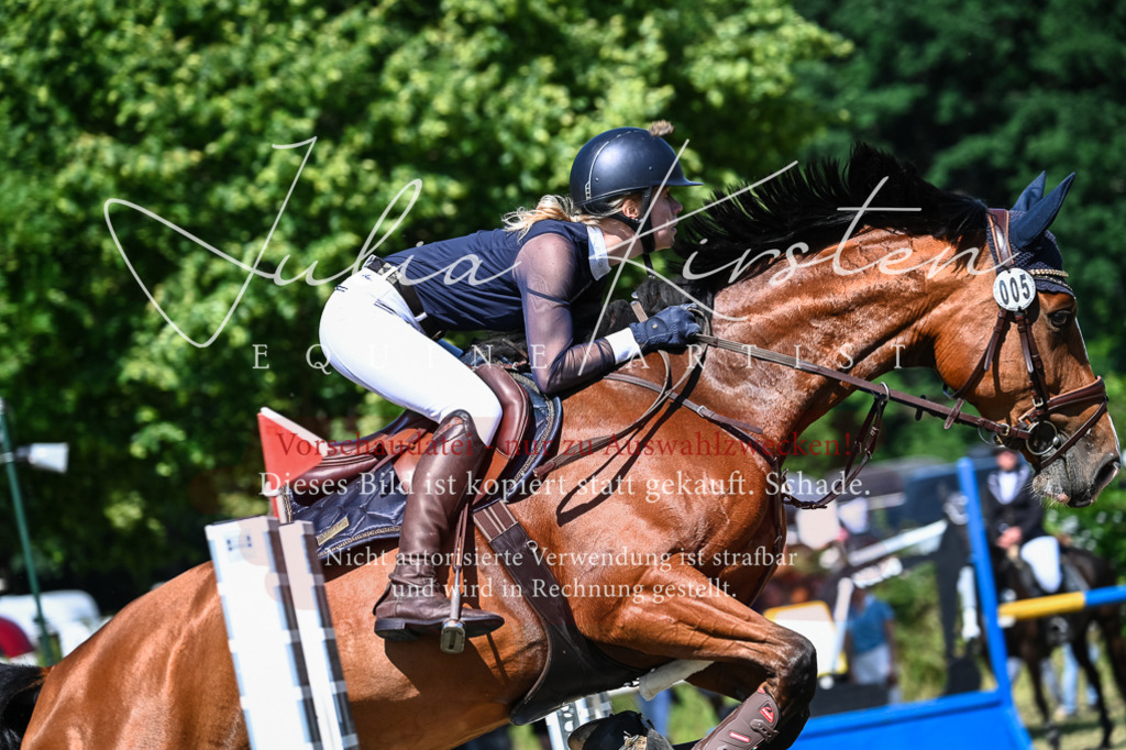DSC_1608 | Pferde- und Turnierfotografie in Westsachsen. Pferdeportraits, Auftragszeichnungen und intuitive Kunst.