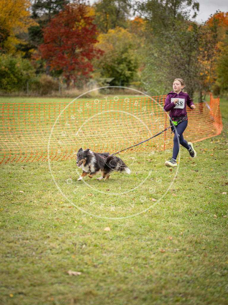 Pfotenfotografie_DV3A3700 | Hundefotografie, Tierfotograf, Pfotenfotografie, Fotoshooting Hund, Hunde Portrait, Hundesport, Hundeportraits, Heideshooting, Hunde, Sportfotograf, Hundefotograf, Turnierhundsport, THS,  - Realisiert mit Pictrs.com