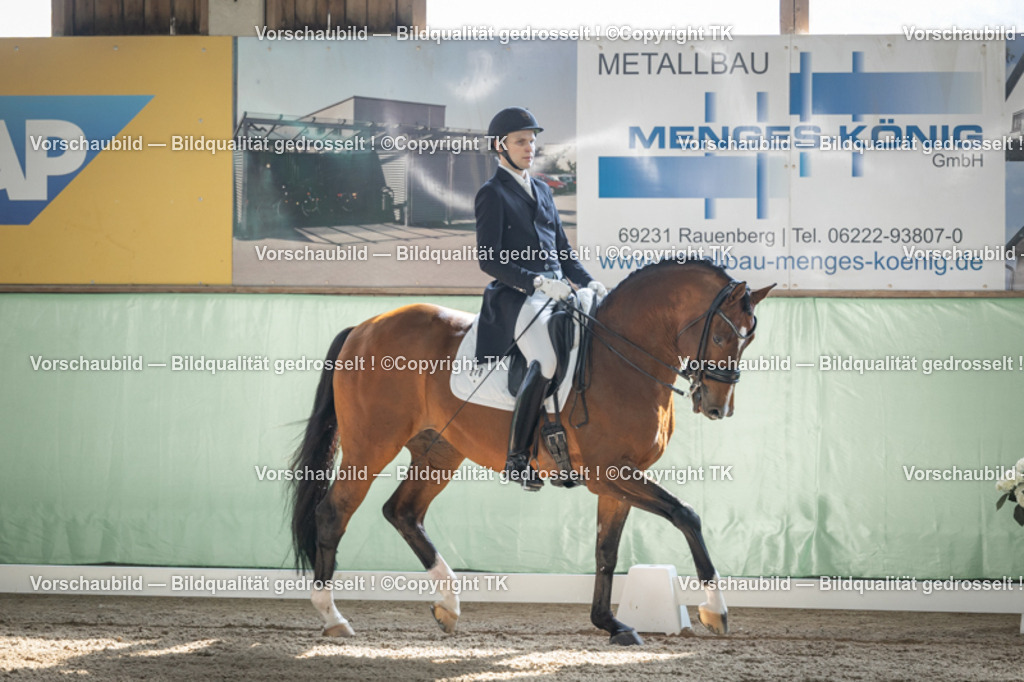 _D5A9740 | Emotionale Pferde- & People-Fotografie rund um Heidelberg, Leimen & Umgebung. Natürliche Fotos von Pferd, Mensch & Familie. Jetzt Termin sichern!