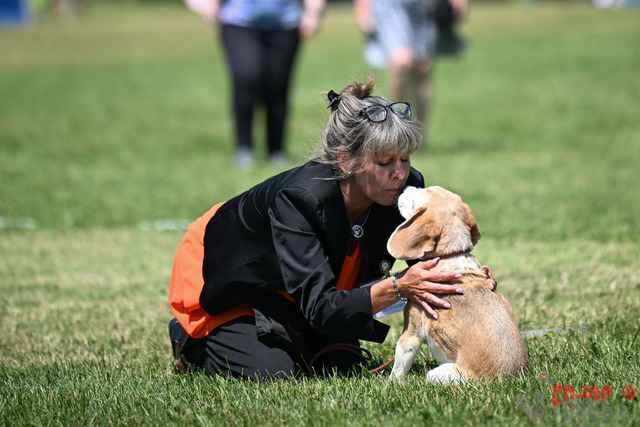 Dogshow CACIB Samstag in Aarau | Dogshow CACIB Samstag in Aarau. 24.06.2023 Foto: LeoWyden