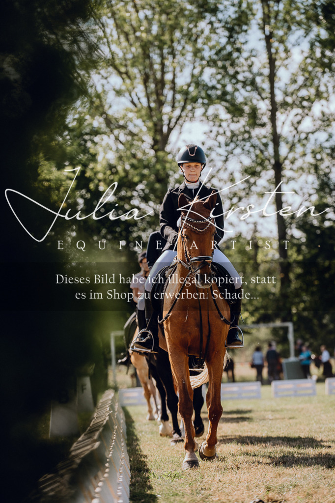 DSC_7235 | Pferde- und Turnierfotografie in Westsachsen. Pferdeportraits, Auftragszeichnungen und intuitive Kunst.