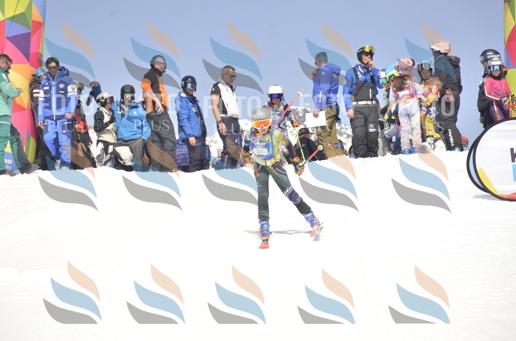 _ELE9003 | holidayphoto