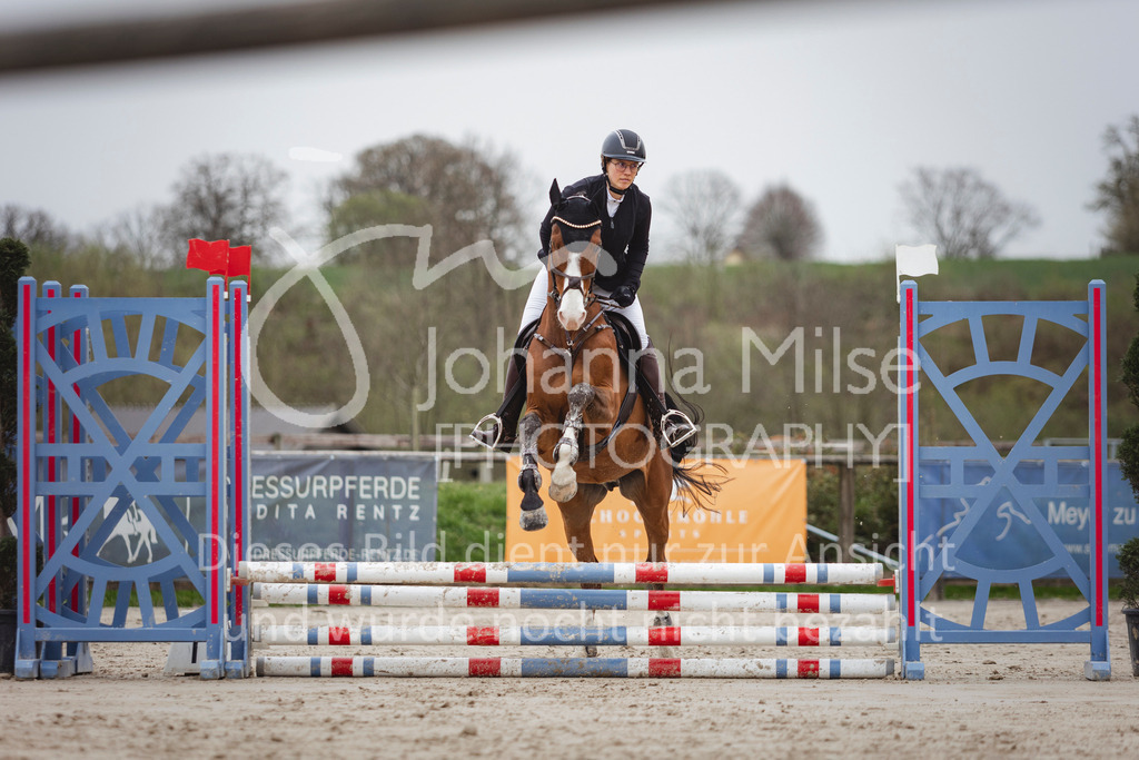 240330_Fruehlingsfest_Stilspring-WB-591 | Deine schönsten Turniermomente als professionelle Fotos! Entdecke hochwertige Pferdesport-Fotografie im Online-Shop. Jetzt Fotos finden & bestellen!