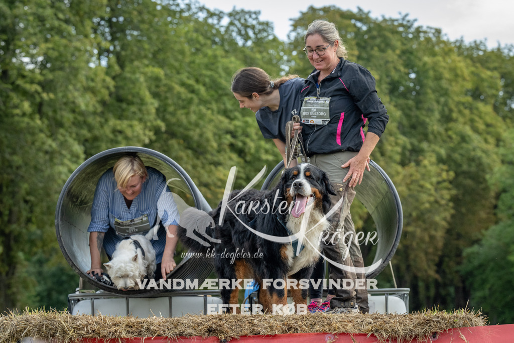1042_ZZ92943 | kk-dogfotos