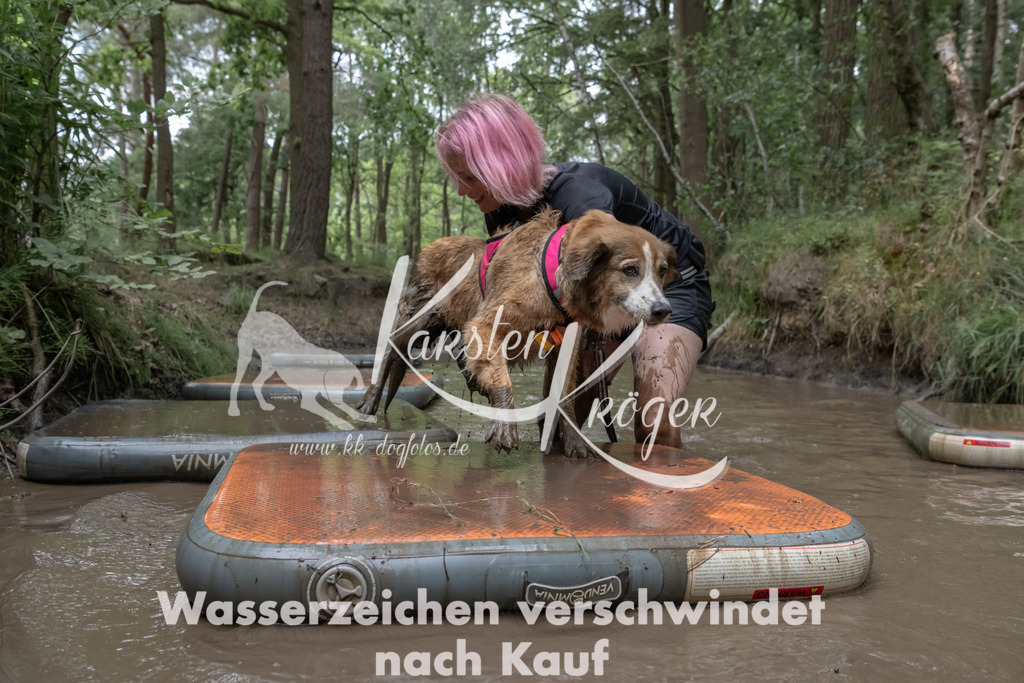 1350_ZZ96231 | kk-dogfotos