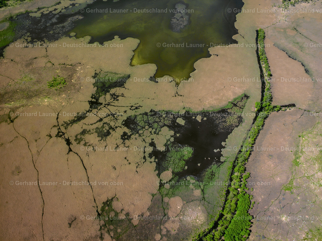 2415307 | Müritzufer am Rederangersee