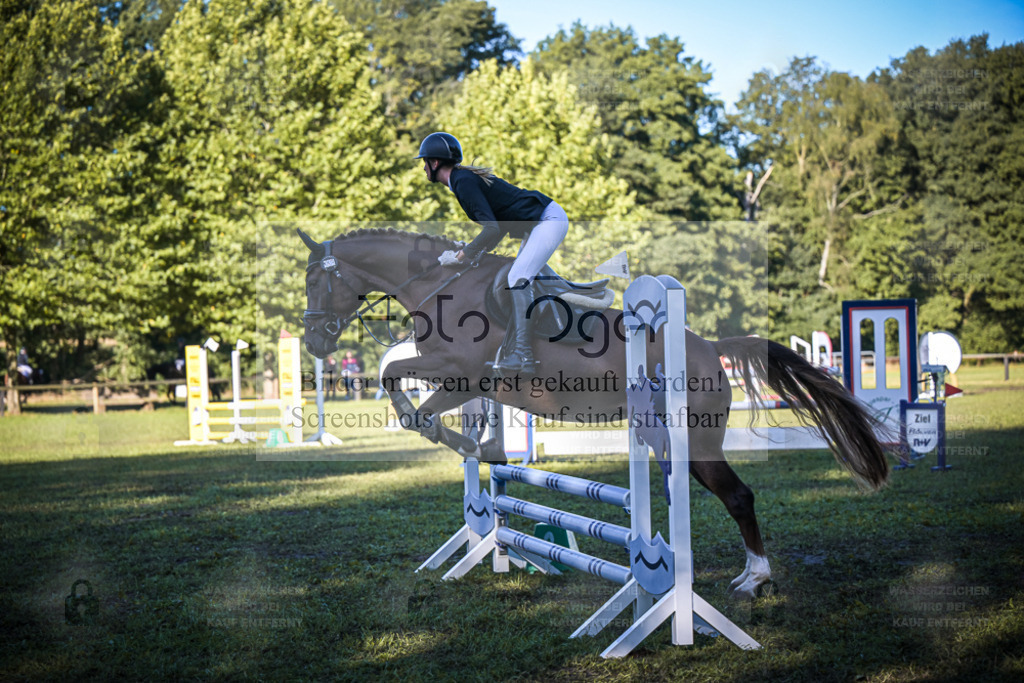 DOS_0209 | Entdecke hochwertige Reitturnierfotos von Foto Oger. Professionell, emotional und authentisch – jetzt Lieblingsmomente im Shop bestellen. - Realisiert mit Pictrs.com