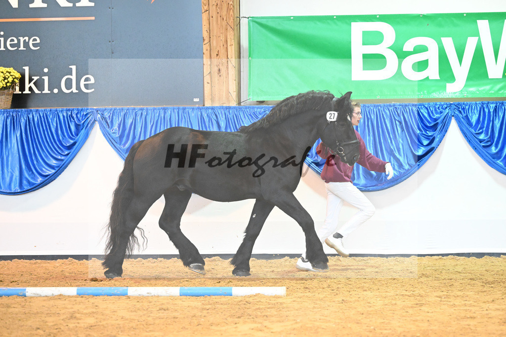 Kat-Nr. 27 Arturo_Holzrueckebetrieb Kaufmann UG_53221126 | hf-fotografie - Realizzato con Pictrs.com