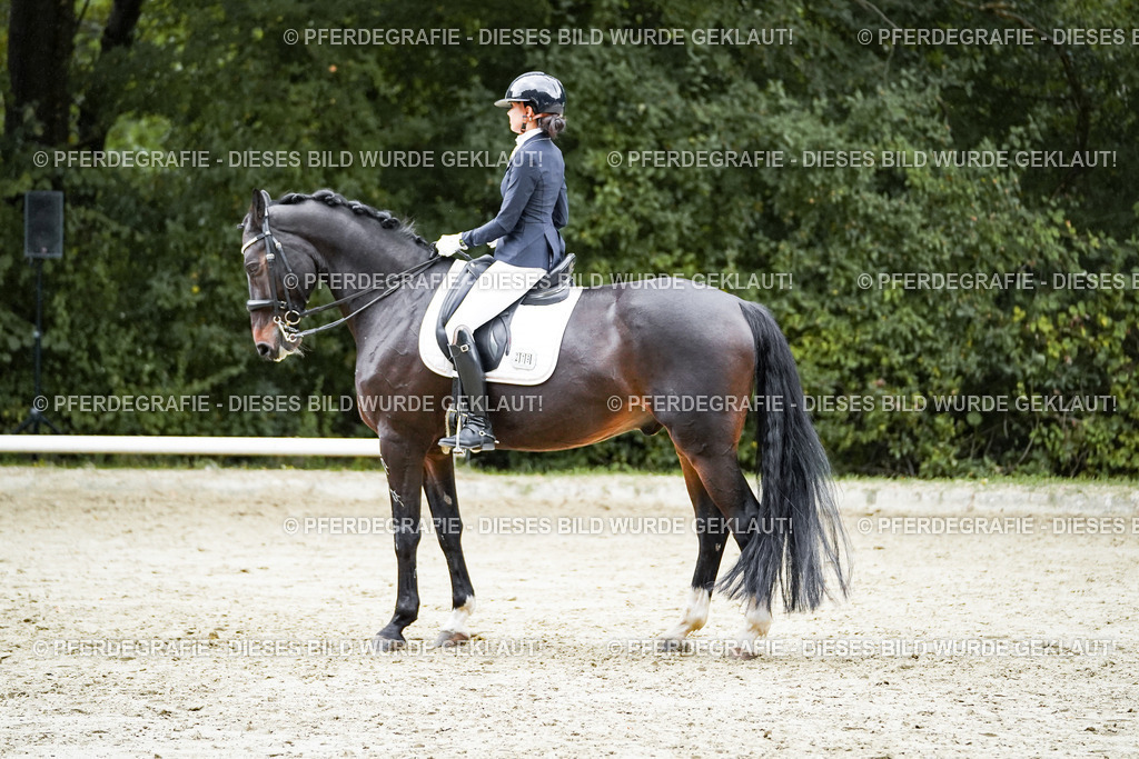 DSC00627 | Pferdegrafie