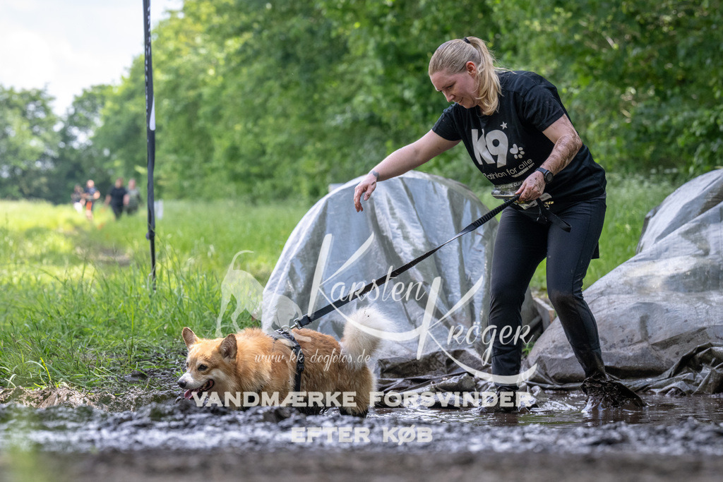 1240_ZZ93005 | kk-dogfotos