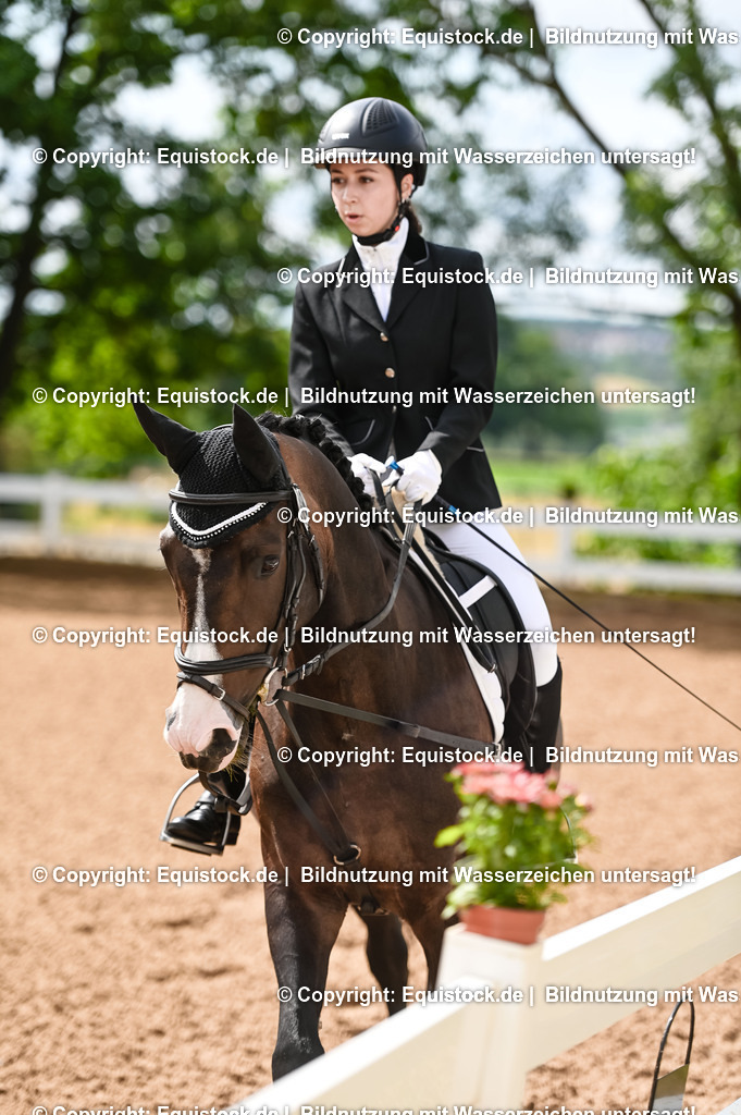 20230716_10-1_Reiter-WB Schritt - Trab - Galopp_0123 | equistock
