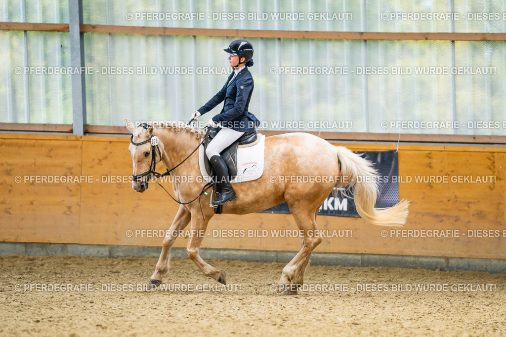 DSC03754 | Pferdegrafie