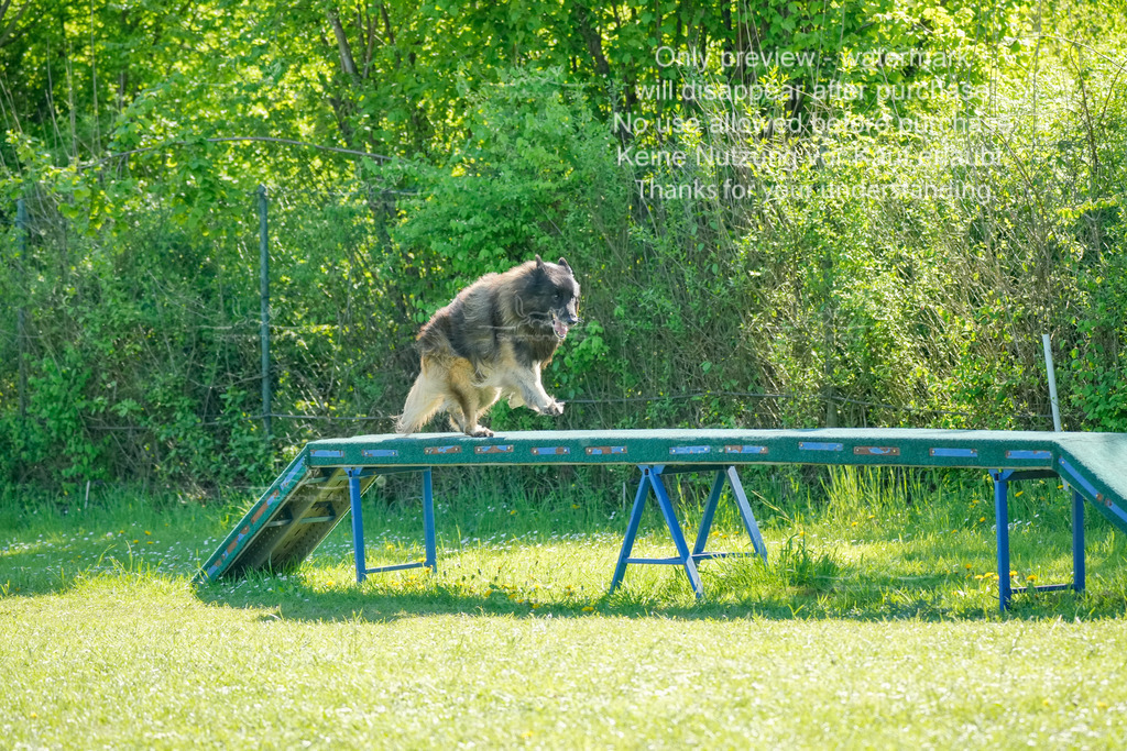 Sa_VK3_03-35 | stephaniefillaphotographie - Realisiert mit Pictrs.com