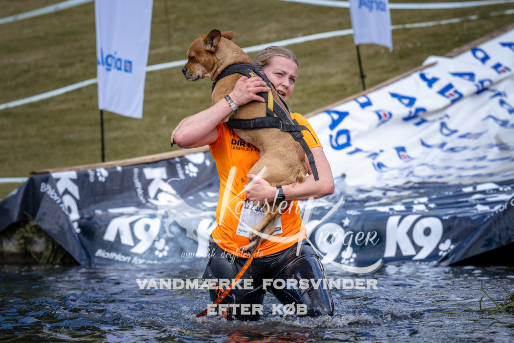 _ZZ917340917 | kk-dogfotos