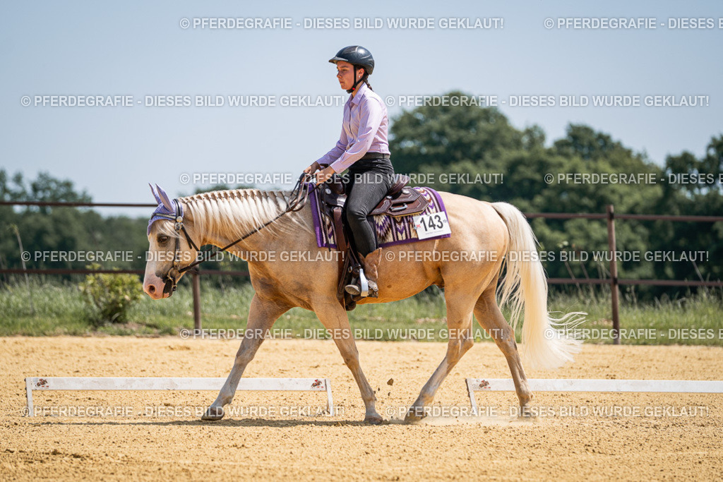 DSC01068 | Pferdegrafie