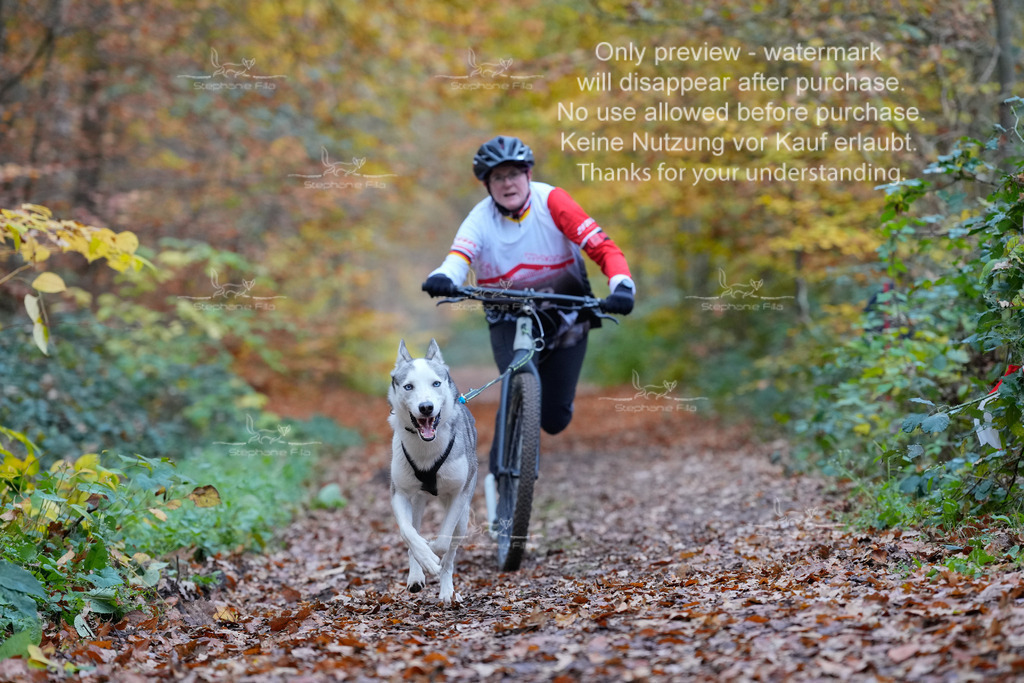 Scooter_So-88 | stephaniefillaphotographie - Realisiert mit Pictrs.com