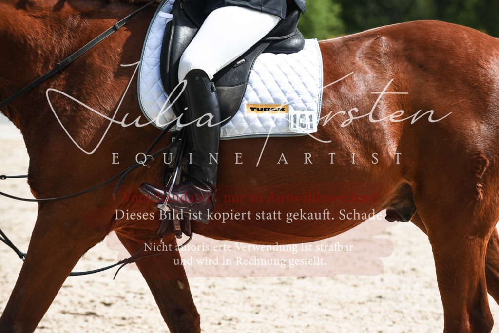 20230518_JK-Röhrsdorf-11-0426 | Pferde- und Turnierfotografie in Westsachsen. Pferdeportraits, Auftragszeichnungen und intuitive Kunst.