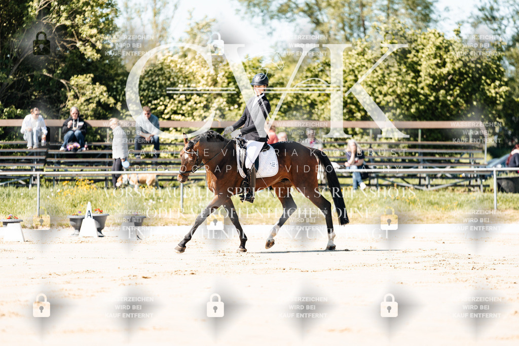 CK904934 | Turnierfotografie Pferdefotografie Trier Rheinland-Pfalz Pferdesport Reitsport Tierfotografie Sportfotografie Pferdevideo Pferdevideografie Equestrianvideography equestrianphotography  - Realisiert mit Pictrs.com