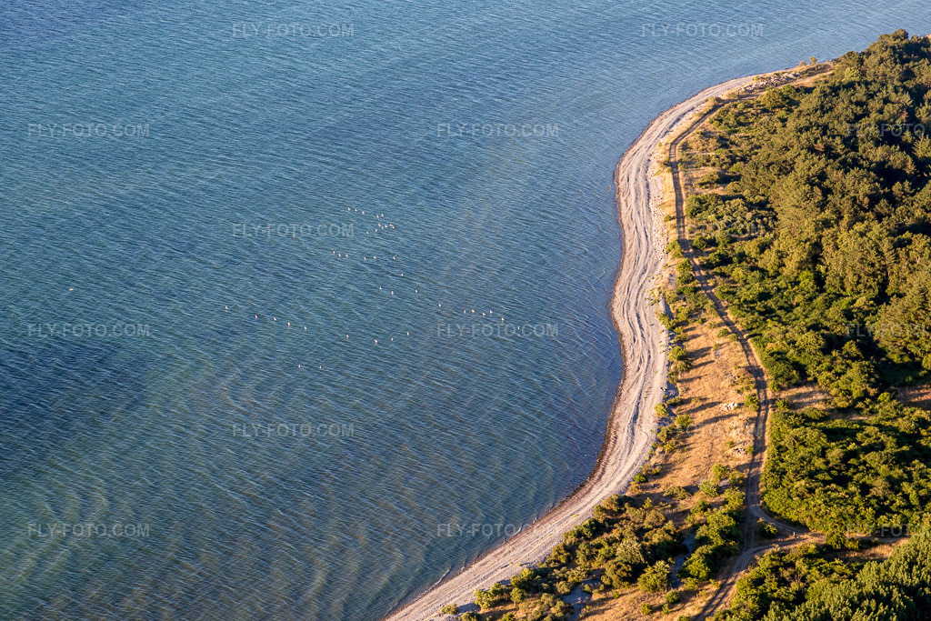 Aerial view: View of the town in Stege in the state Zealand, Denmark.Photo: IMG_108616.jpg taken on 07/04/2018 by Werner Riehm/FLY-FOTO.comResolution of the original: 5472 x 3648 px