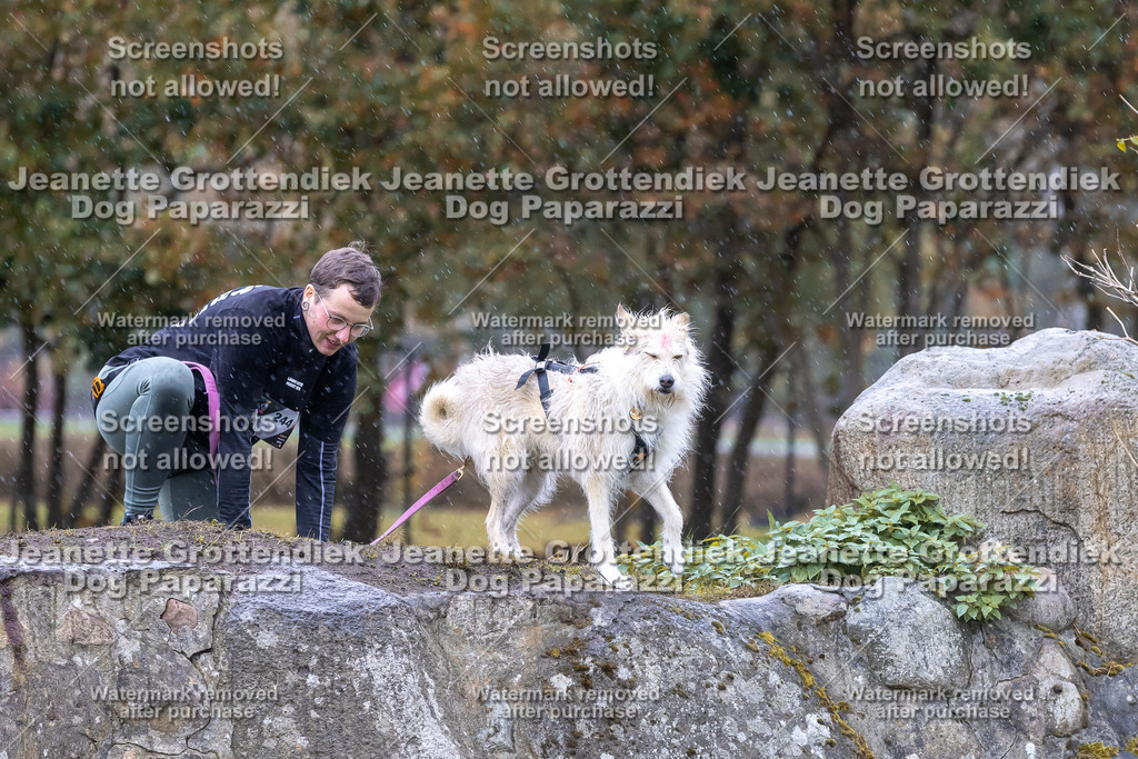 Dog Paparazzi - SD CaniX Championship 2025-719 | Dog Paparazzi Jeanette Grottendiek Fotografie & Videografie - Realisiert mit Pictrs.com