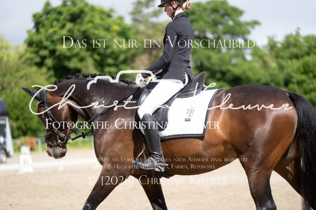 DSC06883 | Christina-Kleuver