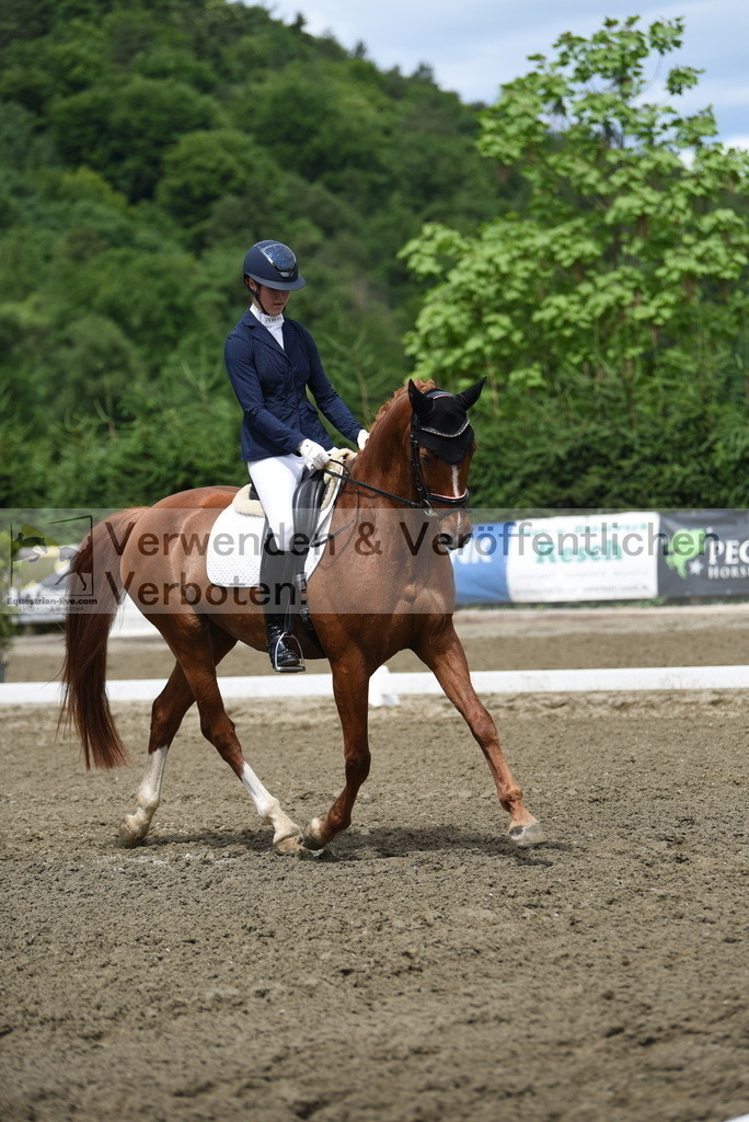 DSC_0945 | equestrian-live-com