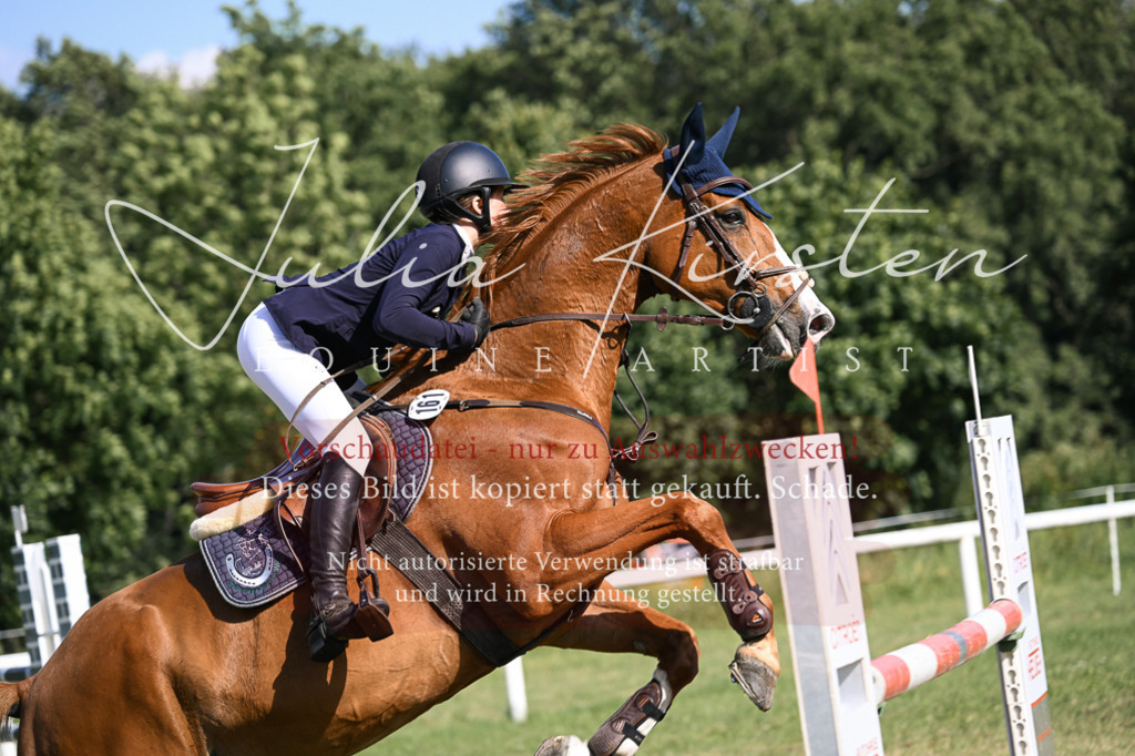 DSC_1208 | Pferde- und Turnierfotografie in Westsachsen. Pferdeportraits, Auftragszeichnungen und intuitive Kunst.