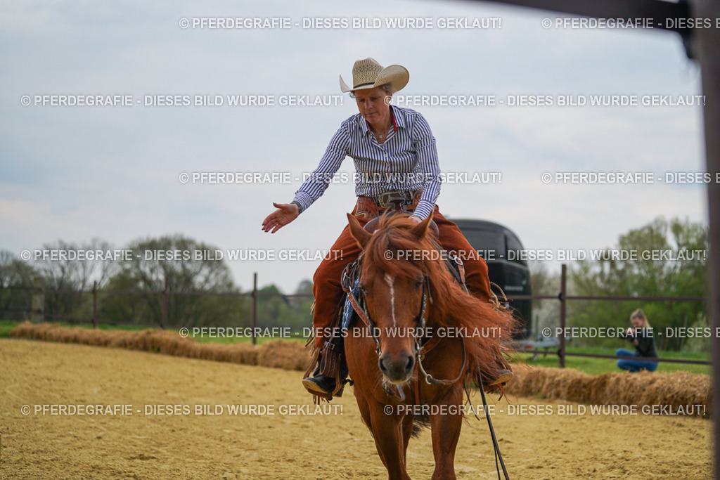 DSC07835 | Pferdegrafie