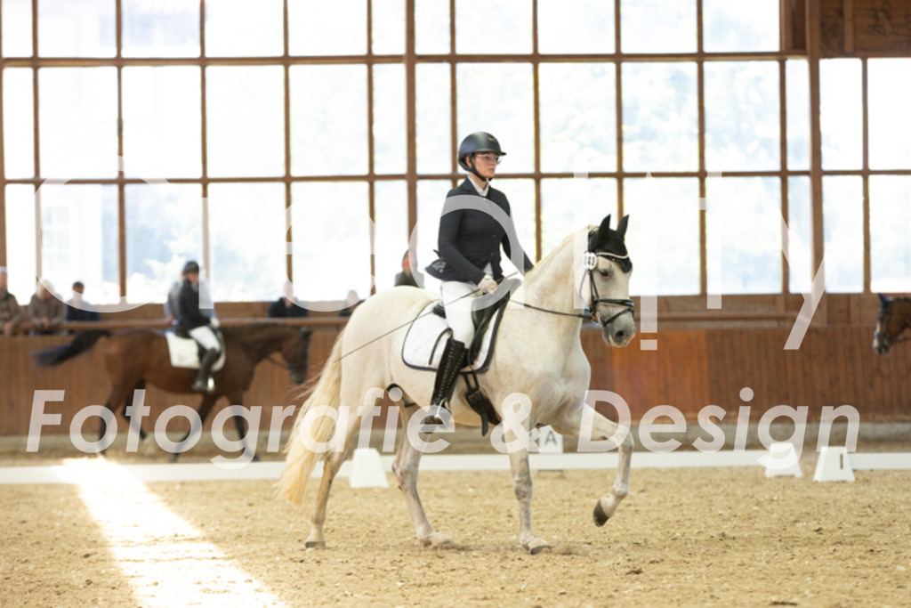 IMG_4967 | Creatify Fotografie