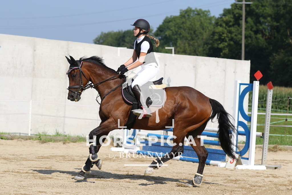 7V2A4056 | Willkommen bei Brunnmayr - Design & Fotografie – Ihrem Spezialisten für Reitturniere und Pferdeveranstaltungen in Oberösterreich, Salzburg und Bayern! Seit über 17 Jahren sind wir leidenschaftlich dabei.