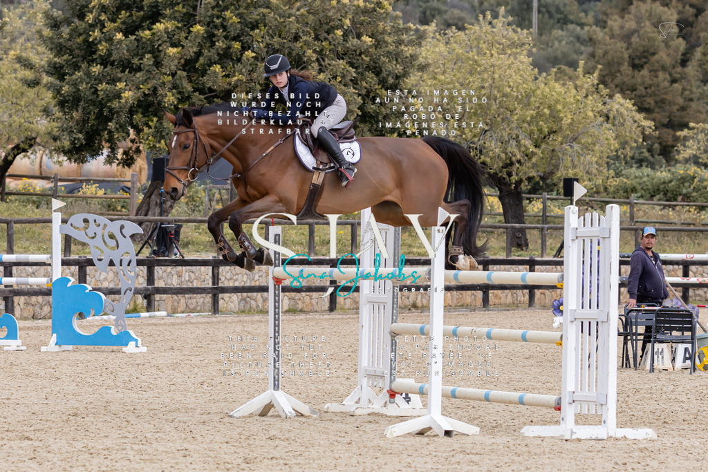 IMG_5228 | s-jay-photography - Realisiert mit Pictrs.com