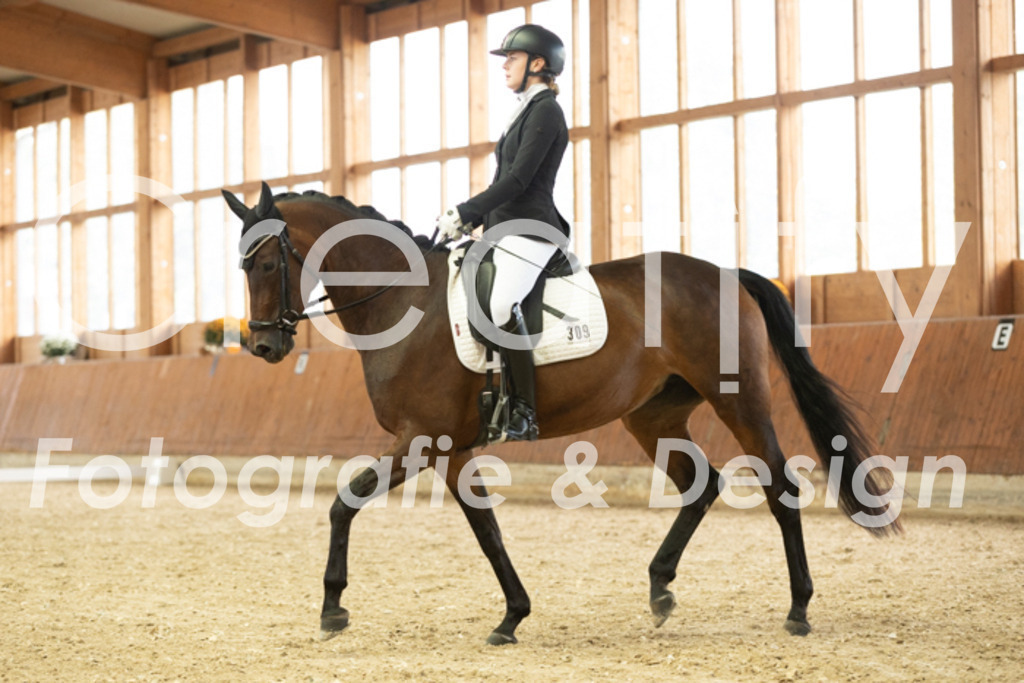 IMG_1526 | Creatify Fotografie