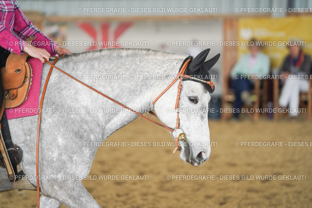 DSC04195 | Pferdegrafie