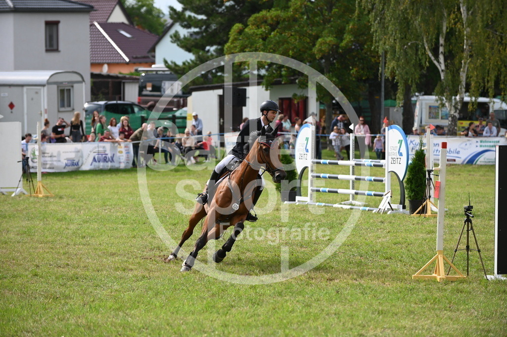 DSC_2938 | sattelsport - Realisiert mit Pictrs.com