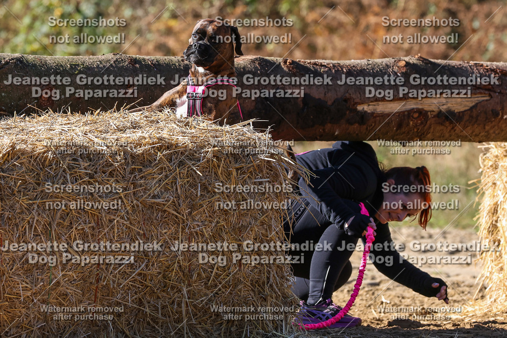 Dog Paparazzi - Strongdog 10-25-2757 | Dog Paparazzi Jeanette Grottendiek Fotografie & Videografie - Realisiert mit Pictrs.com