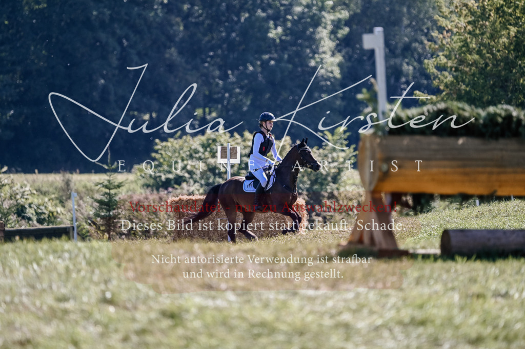 DSC_2923 | Pferde- und Turnierfotografie in Westsachsen. Pferdeportraits, Auftragszeichnungen und intuitive Kunst.
