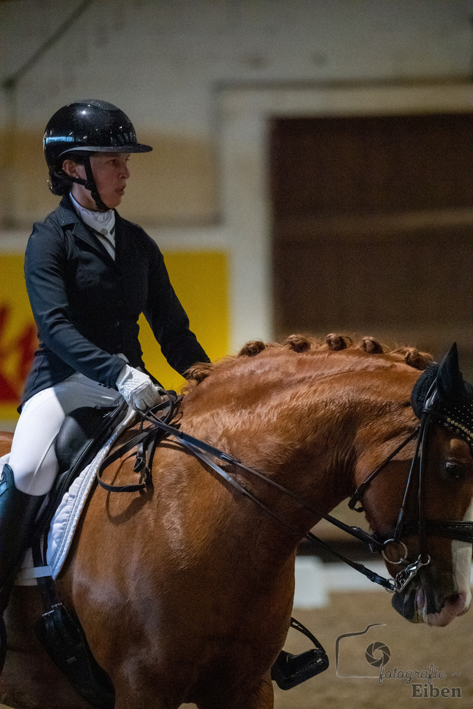 Helle Nymphenburger Dressurtage | Sophie-Celine-Viktoria Richter auf dem Pferd Palinkas Red (Startnummer 319); Helle Nymphenburger Dressurtage am 01.10.2023; in Bad Zwischen (RC Helle), Photo: Philip Eiben 2023 - Realisiert mit Pictrs.com