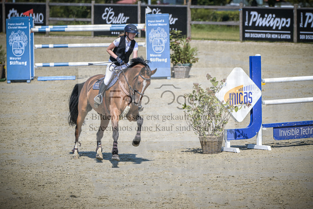 DOS_1972 | Entdecke hochwertige Reitturnierfotos von Foto Oger. Professionell, emotional und authentisch – jetzt Lieblingsmomente im Shop bestellen.Deutschlandweite Turnierfotografie. - Realisiert mit Pictrs.com