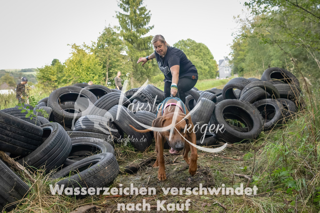 1510_ZZ91287-Bearbeitet | kk-dogfotos