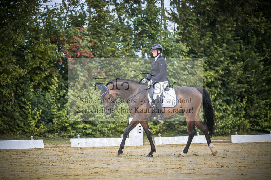 DOS_1145 | Entdecke hochwertige Reitturnierfotos von Foto Oger. Professionell, emotional und authentisch – jetzt Lieblingsmomente im Shop bestellen.Deutschlandweite Turnierfotografie. - Realisiert mit Pictrs.com