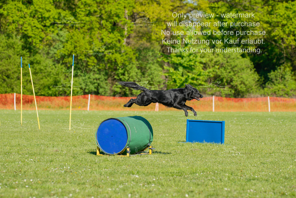 Sa_CSC-415 | stephaniefillaphotographie - Realisiert mit Pictrs.com