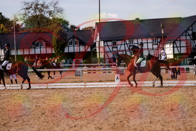 2026_10_03_Siefer-Hof_133145_Z81_86430784 | Professionelle Reitsport-, Turnier- und Eventfotografie von Robert Broda. Galerien mit ausgewählten und bearbeiteten Bildern direkt online ansehen und bestellen.