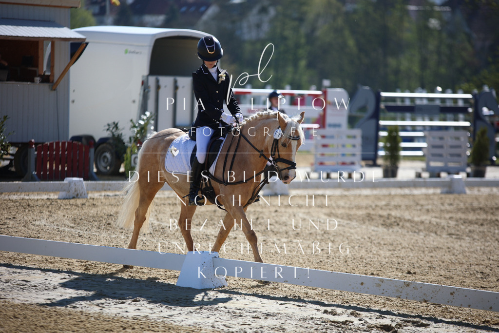 IMGT9698 | pl-fotografie