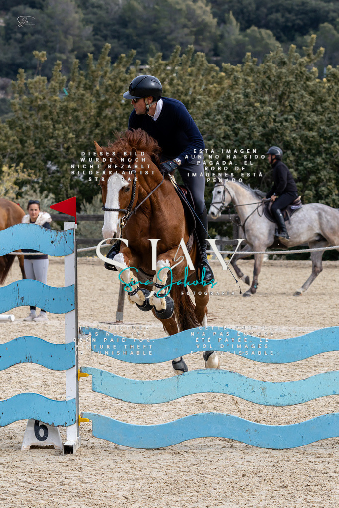 IMG_3493 | s-jay-photography - Realisiert mit Pictrs.com