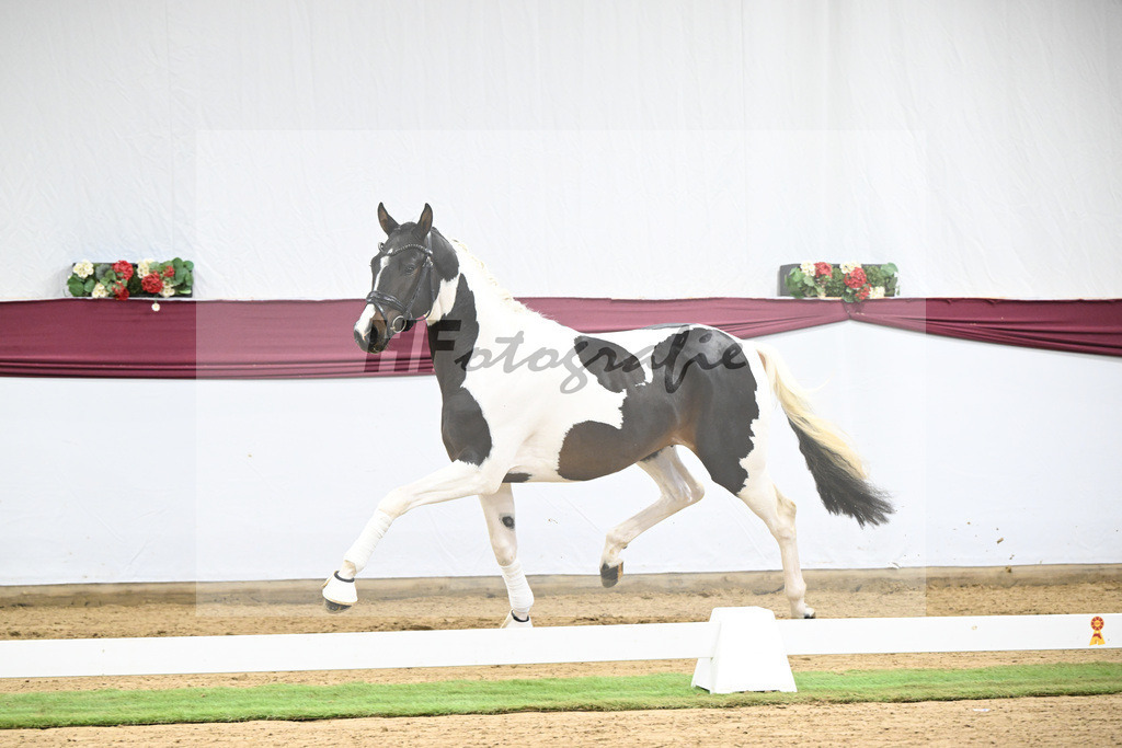 Kat-Nr. 117 Classic Deluxe x Don Martillo_Horst Schepper_47254022 | hf-fotografie - Realisiert mit Pictrs.com