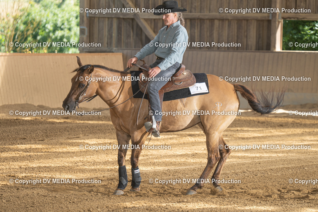 DSC00304 | dv-media-shop - Realisiert mit Pictrs.com