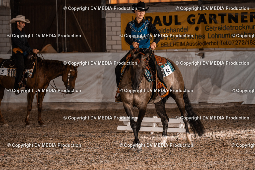 ZH200031 | dv-media-shop - Realisiert mit Pictrs.com