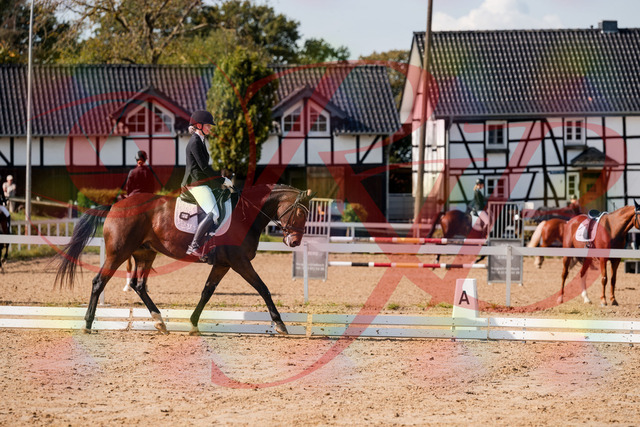 2026_10_03_Siefer-Hof_125533_Z63_61968396 | Professionelle Reitsport-, Turnier- und Eventfotografie von Robert Broda. Galerien mit ausgewählten und bearbeiteten Bildern direkt online ansehen und bestellen.