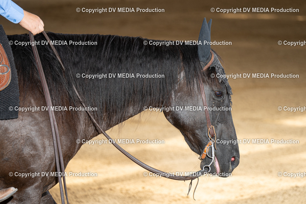 DSC00019 | dv-media-shop - Realisiert mit Pictrs.com